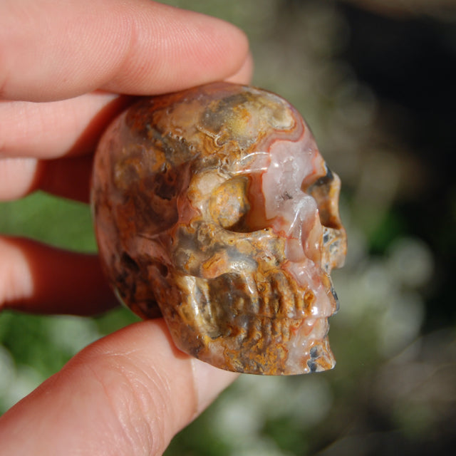 Crazy Lace Agate Crystal Skull Realistic Gemstone Carving
