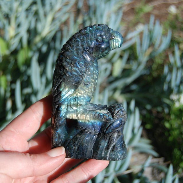Labradorite Parrot Carved Crystal Realistic Bird Carving 
