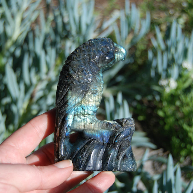 Labradorite Parrot Carved Crystal Realistic Bird Carving 