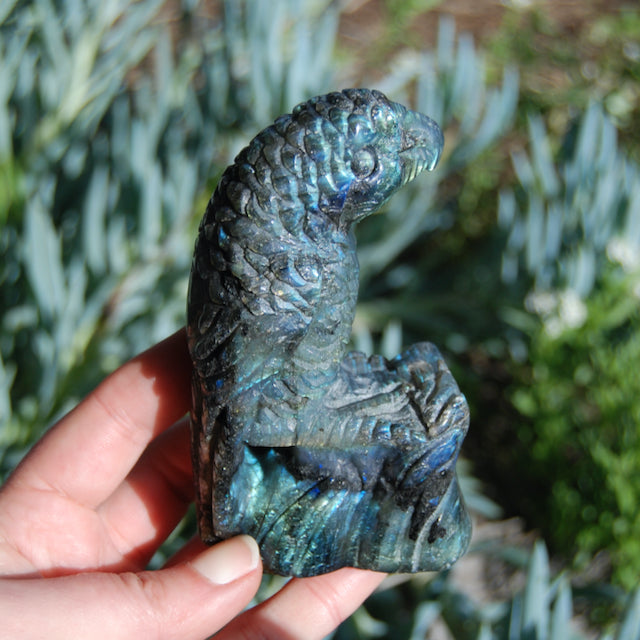 Labradorite Parrot Carved Crystal Realistic Bird Carving 