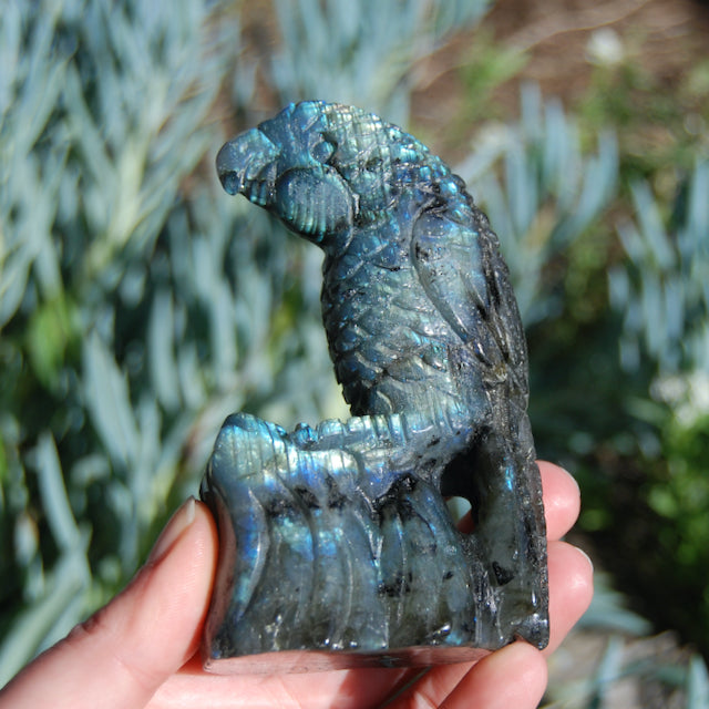 Labradorite Parrot Carved Crystal Realistic Bird Carving 