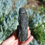 Labradorite Parrot Carved Crystal Realistic Bird Carving 