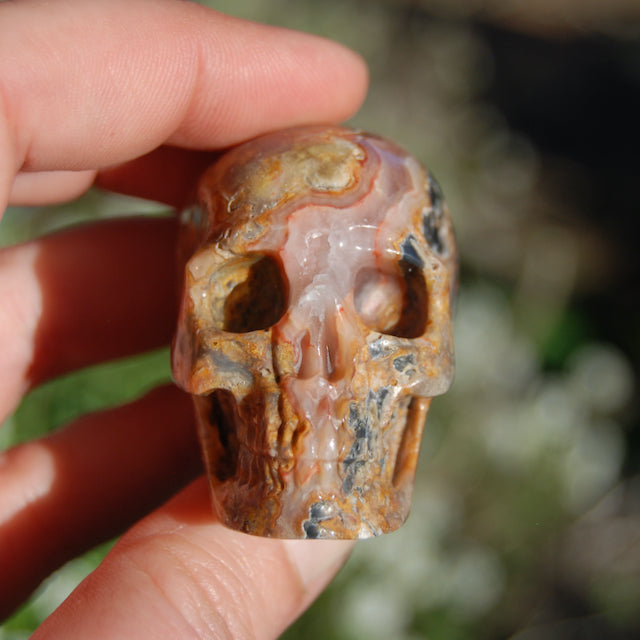 Crazy Lace Agate Crystal Skull Realistic Gemstone Carving