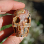 Crazy Lace Agate Crystal Skull Realistic Gemstone Carving