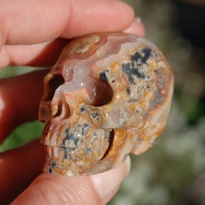 Crazy Lace Agate Crystal Skull Realistic Gemstone Carving