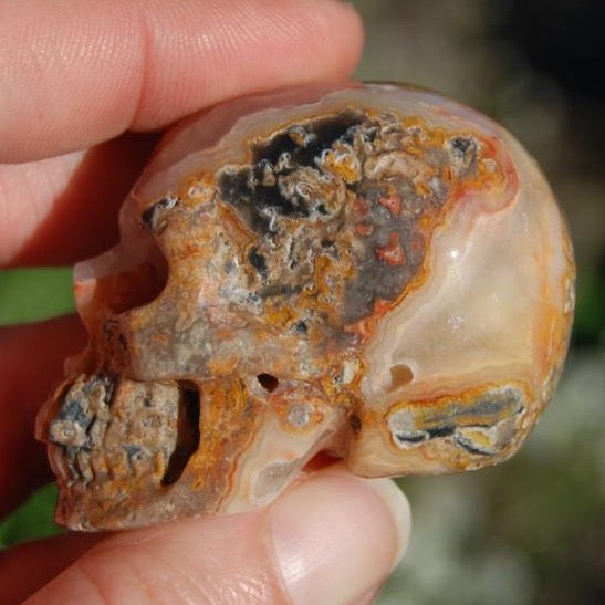 Crazy Lace Agate Crystal Skull Realistic Gemstone Carving