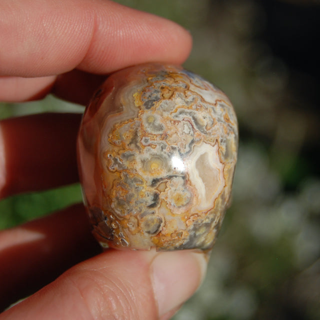 Crazy Lace Agate Crystal Skull Realistic Gemstone Carving