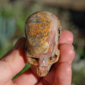 Crazy Lace Agate Crystal Skull Realistic Gemstone Carving