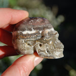 Laguna Lace Agate Carved Crystal Skull Realistic Gemstone Carving