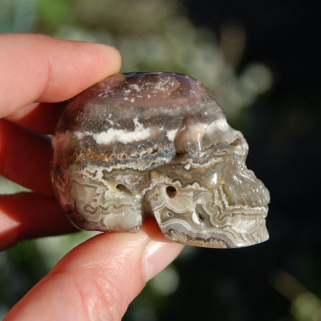 Laguna Lace Agate Carved Crystal Skull Realistic Gemstone Carving