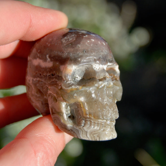 Laguna Lace Agate Carved Crystal Skull Realistic Gemstone Carving