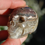 Laguna Lace Agate Carved Crystal Skull Realistic Gemstone Carving