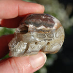 Laguna Lace Agate Carved Crystal Skull Realistic Gemstone Carving