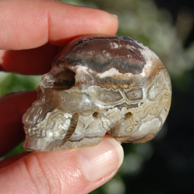 Laguna Lace Agate Carved Crystal Skull Realistic Gemstone Carving