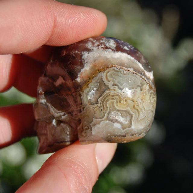 Laguna Lace Agate Carved Crystal Skull Realistic Gemstone Carving