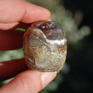 Laguna Lace Agate Carved Crystal Skull Realistic Gemstone Carving