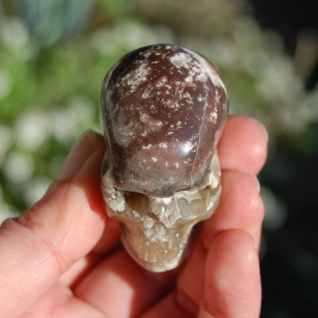 Laguna Lace Agate Carved Crystal Skull Realistic Gemstone Carving