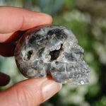 Ocean Jasper Carved Crystal Geode Skull Realistic Gemstone Carving Blue