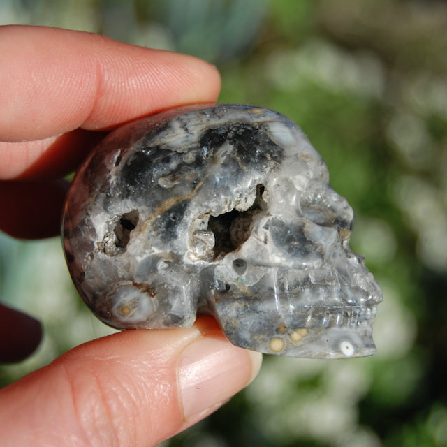 Ocean Jasper Carved Crystal Geode Skull Realistic Gemstone Carving Blue