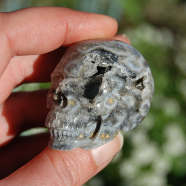 Ocean Jasper Carved Crystal Geode Skull Realistic Gemstone Carving Blue