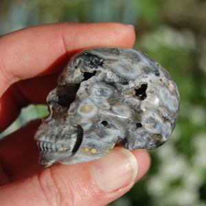 Ocean Jasper Carved Crystal Geode Skull Realistic Gemstone Carving Blue