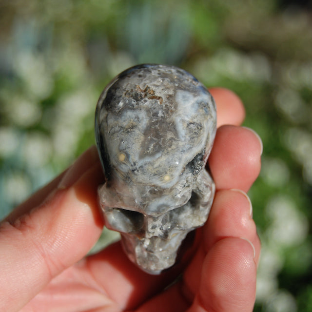 Ocean Jasper Carved Crystal Geode Skull Realistic Gemstone Carving Blue
