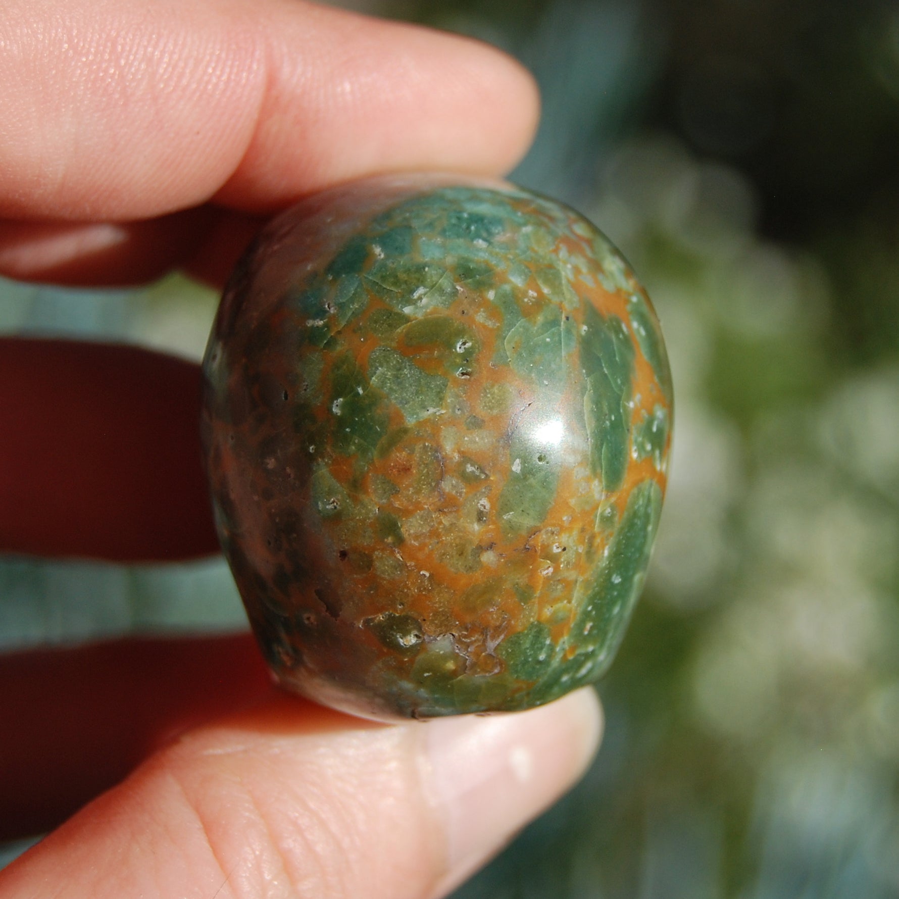 Blue Opalized Petrified Wood Carved Crystal Skull