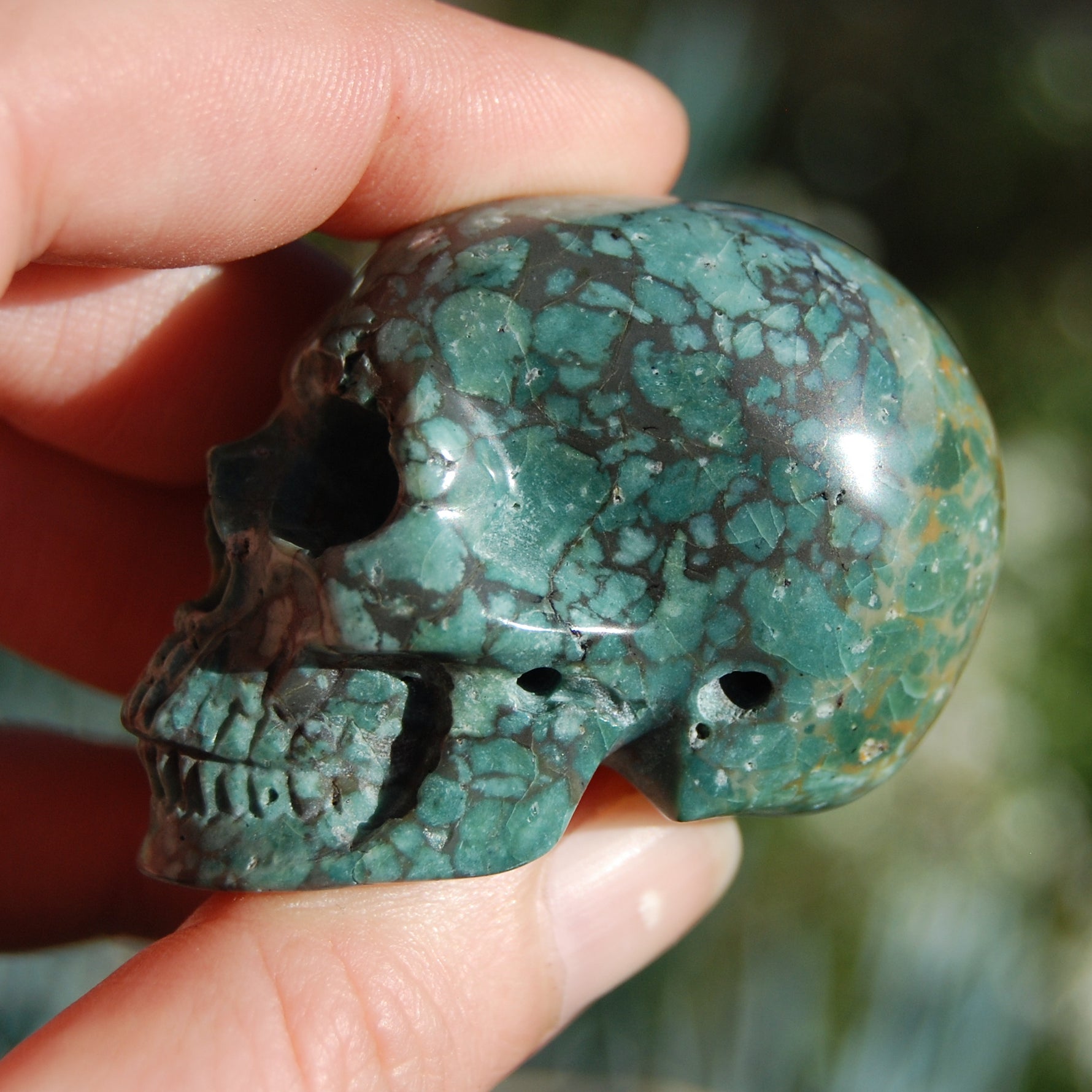 Blue Opalized Petrified Wood Carved Crystal Skull