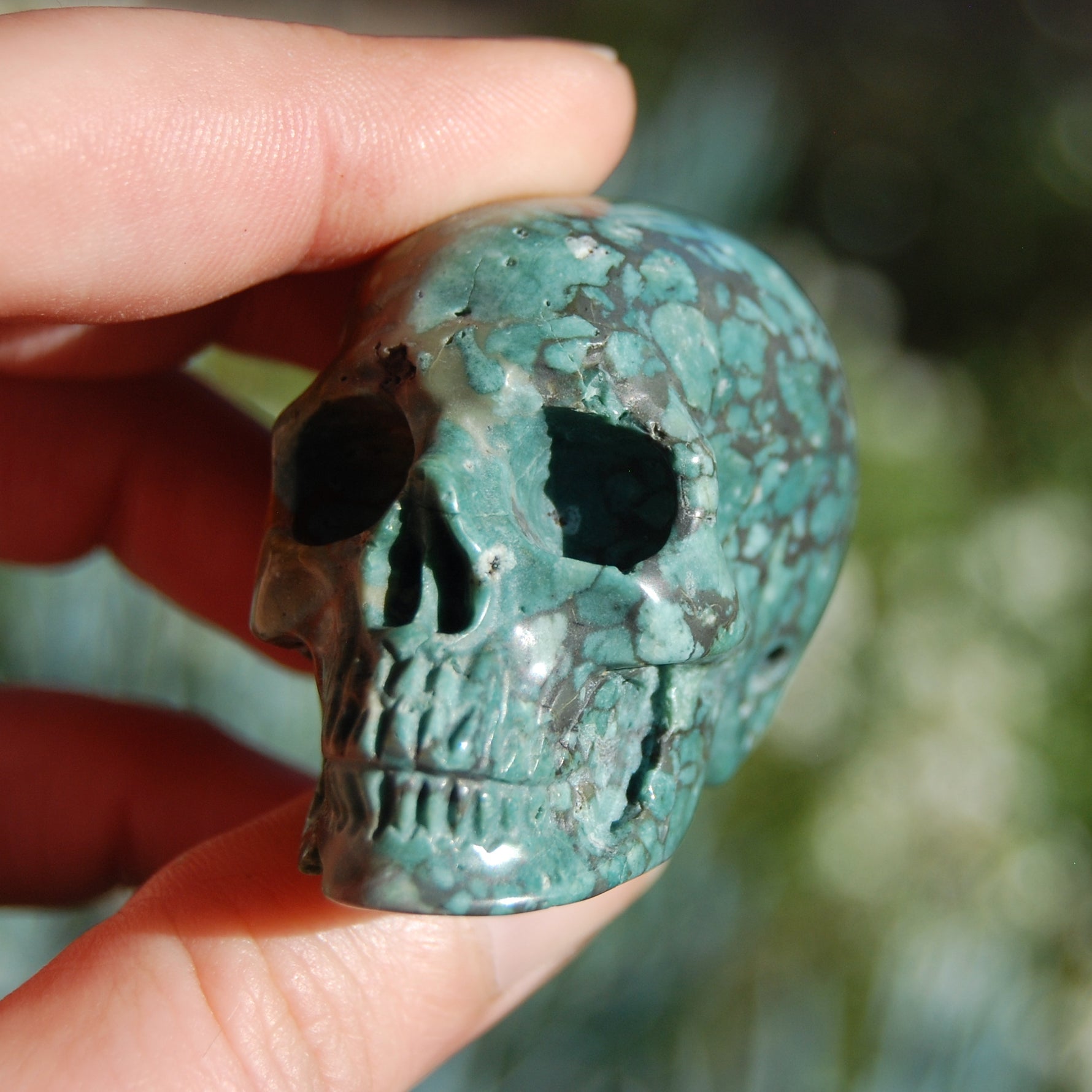 Blue Opalized Petrified Wood Carved Crystal Skull