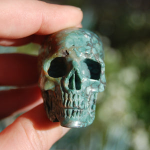 Blue Opalized Petrified Wood Carved Crystal Skull