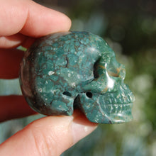 Load image into Gallery viewer, Rare Blue Opalized Petrified Wood Carved Crystal Skull 

