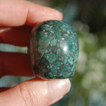 Rare Blue Opalized Petrified Wood Carved Crystal Skull 