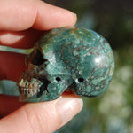 Rare Blue Opalized Petrified Wood Carved Crystal Skull 