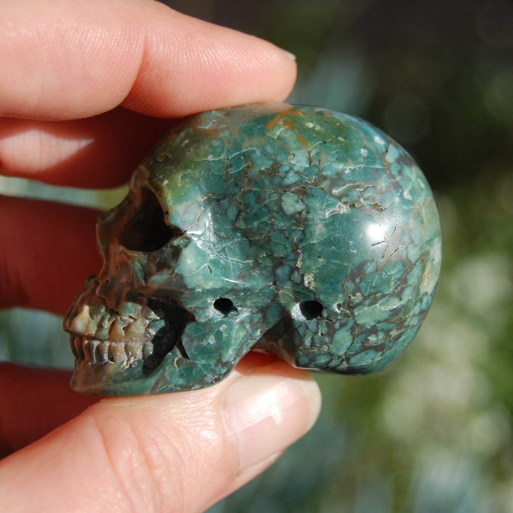 Rare Blue Opalized Petrified Wood Carved Crystal Skull 