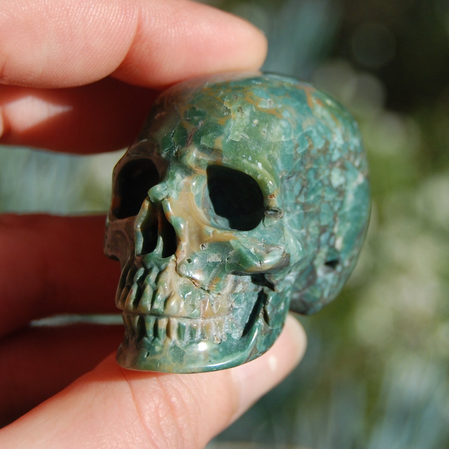 Rare Blue Opalized Petrified Wood Carved Crystal Skull 