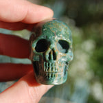 Rare Blue Opalized Petrified Wood Carved Crystal Skull 