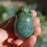 Rare Blue Opalized Petrified Wood Carved Crystal Skull 