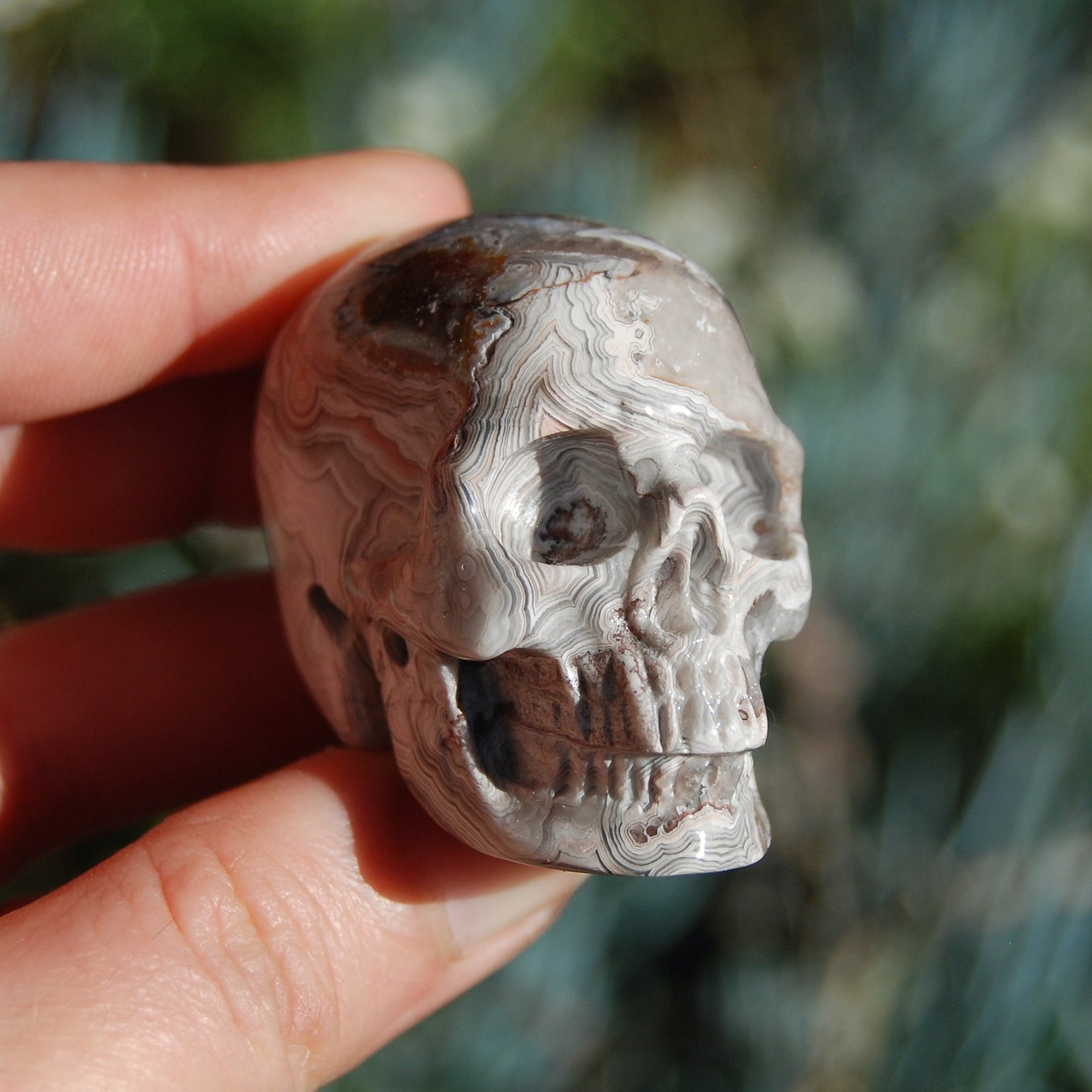Laguna Crazy Lace Agate Crystal Skull 