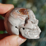 Laguna Crazy Lace Agate Crystal Skull 