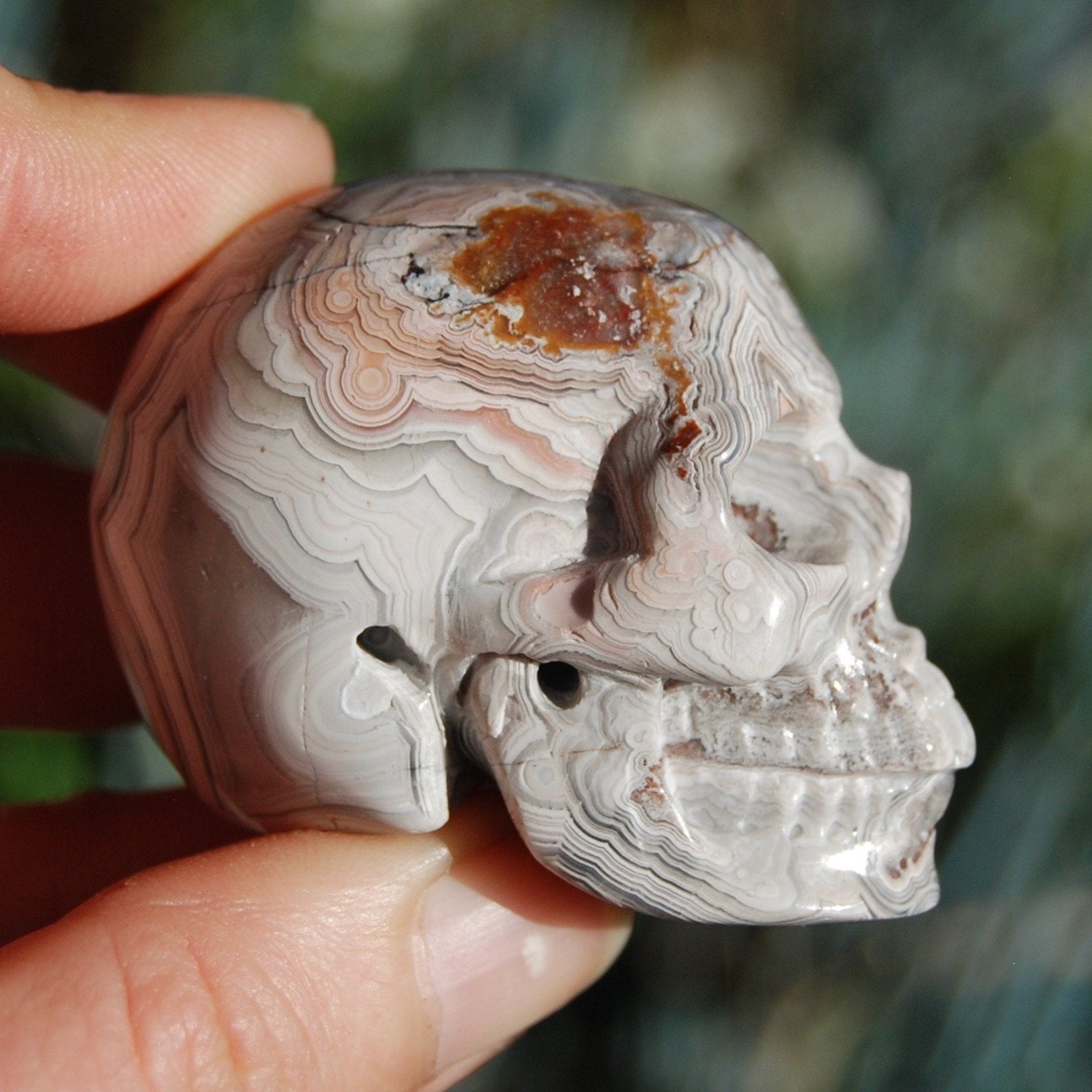 Laguna Crazy Lace Agate Crystal Skull 