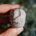 Laguna Crazy Lace Agate Crystal Skull 