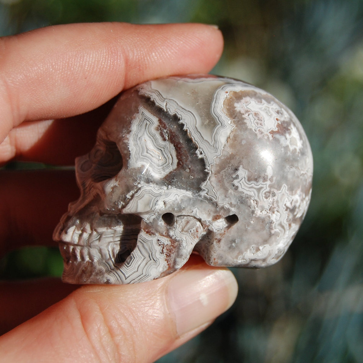 Laguna Crazy Lace Agate Crystal Skull 
