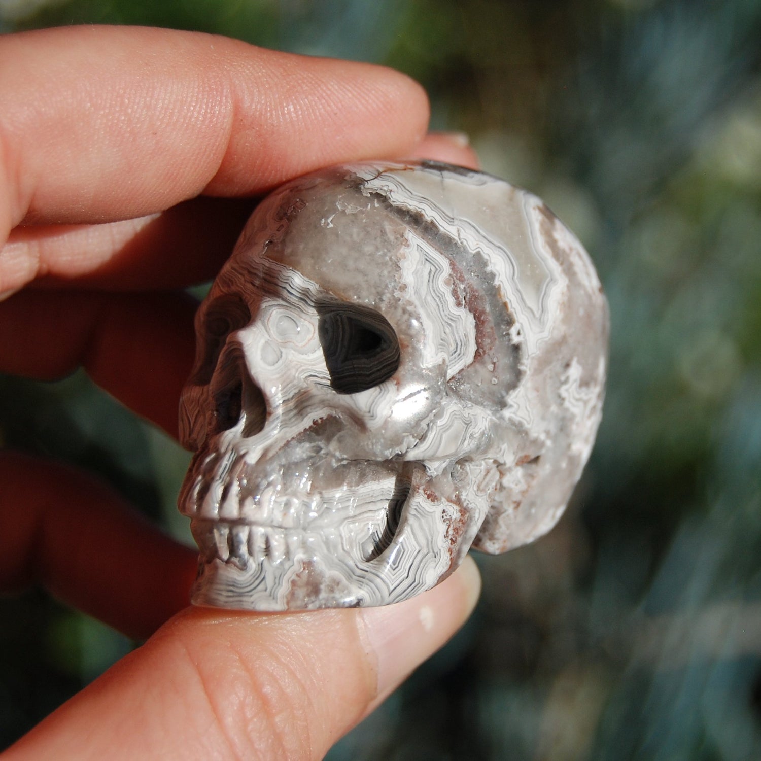 Laguna Crazy Lace Agate Crystal Skull 