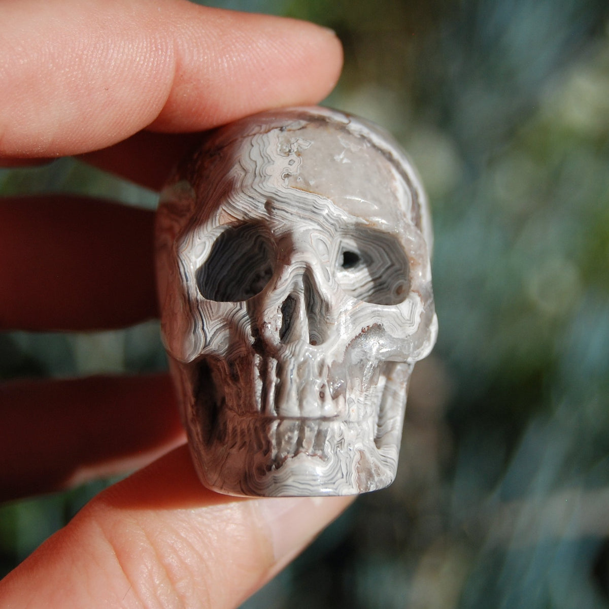 Laguna Crazy Lace Agate Crystal Skull 