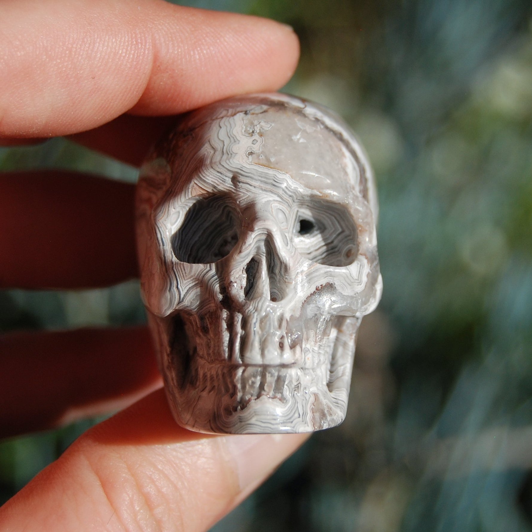 Laguna Crazy Lace Agate Crystal Skull 