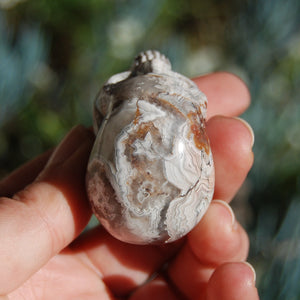 Laguna Crazy Lace Agate Crystal Skull 