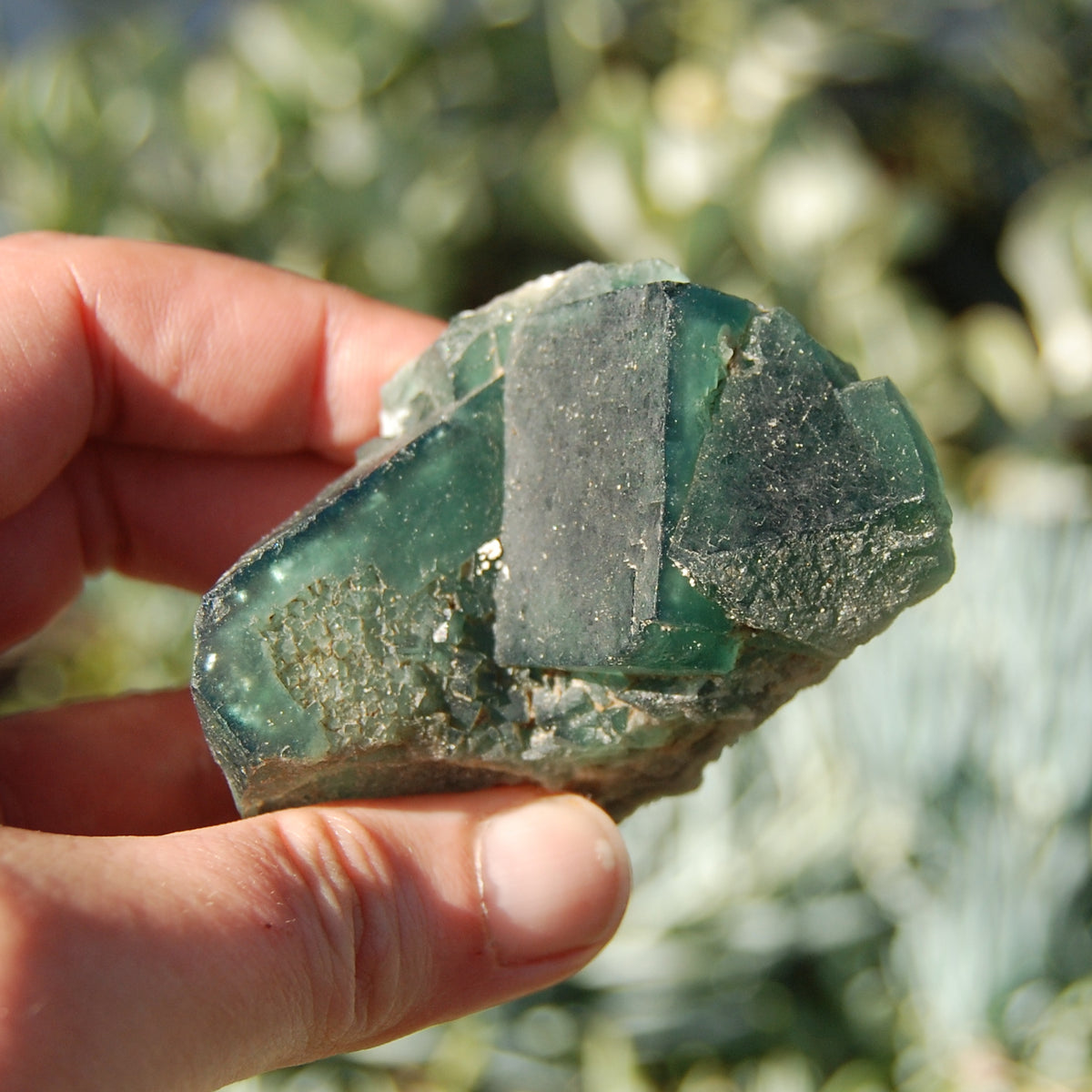 Raw Fluorite Crystal Specimen Blue Green Teal