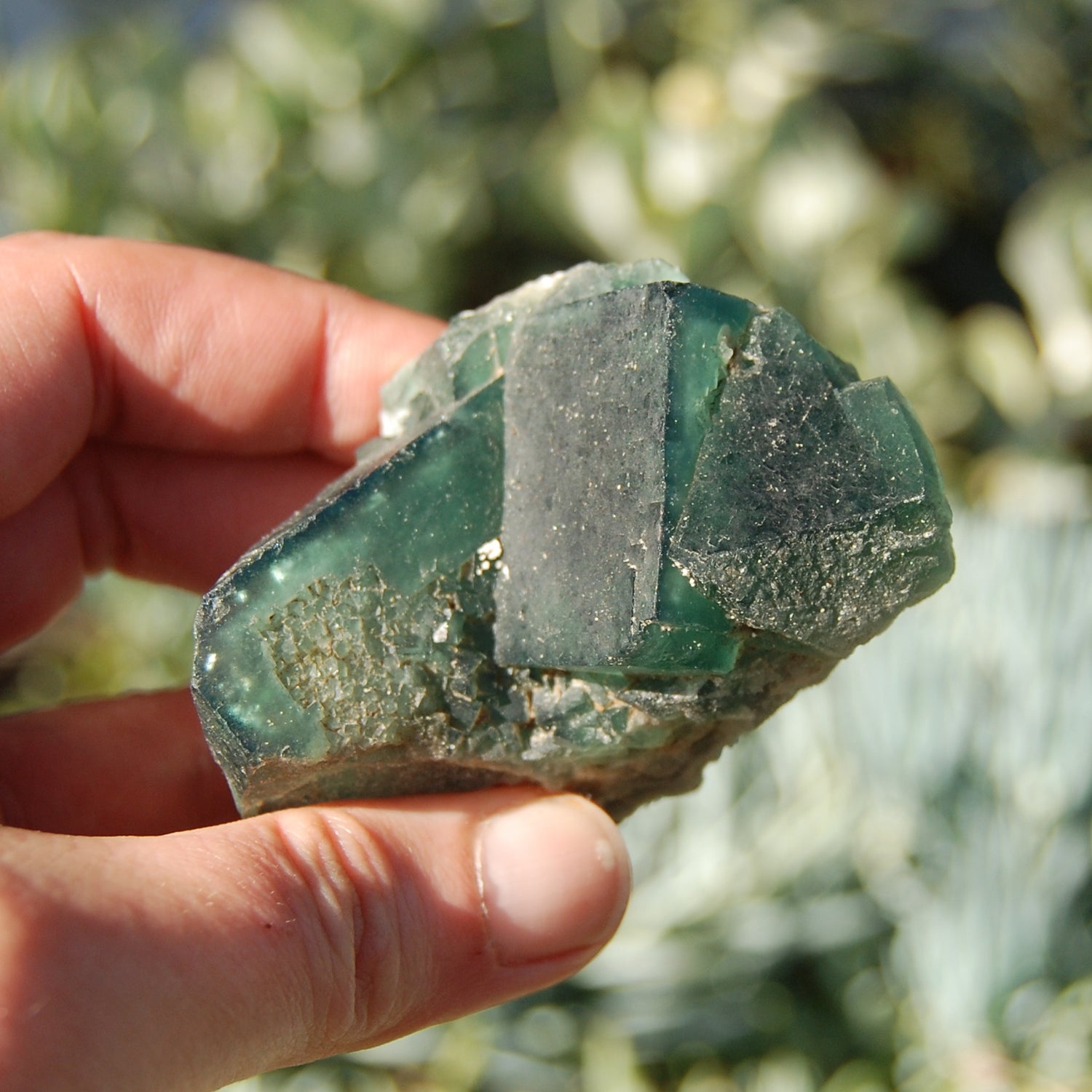 Raw Fluorite Crystal Specimen Blue Green Teal