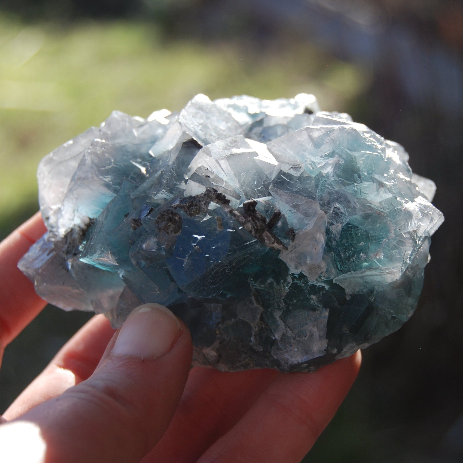 Fluorite Crystal Specimen Blue Green Teal