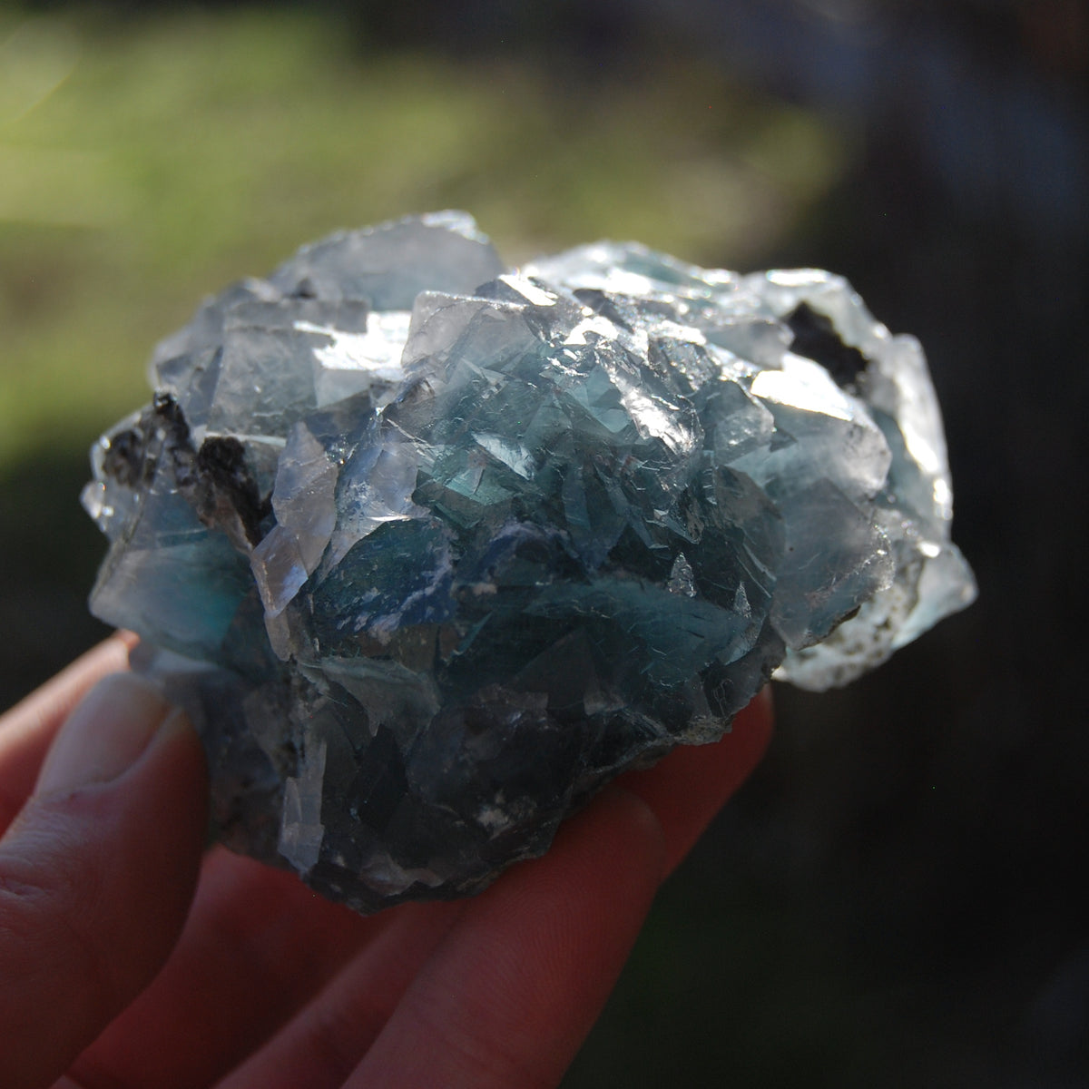 Fluorite Crystal Specimen Blue Green Teal